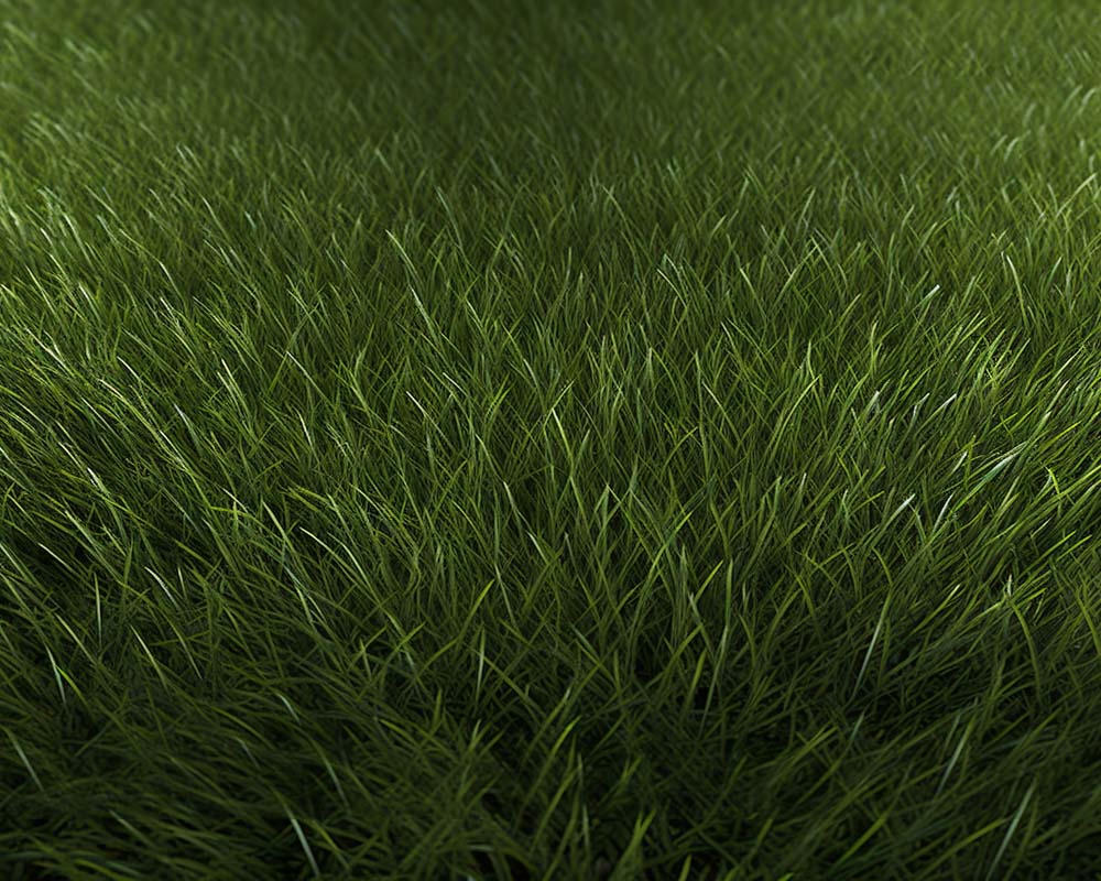 Kate Tapis de sol en caoutchouc Été Prairie Vert - Kate Backdrop FR