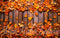 Kate Automne Orange Feuilles Tapis de sol en Caoutchouc conçue par Mini MakeBelieve - Kate Backdrop FR
