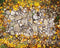 Kate Automne Feuilles Pavé Tapis de sol en Caoutchouc conçue par Mini MakeBelieve - Kate Backdrop FR