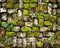 Kate Vert Mousse Pavé Tapis de sol en Caoutchouc conçue par Mini MakeBelieve - Kate Backdrop FR