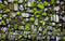 Kate Mousse Gris Pavé Tapis de sol en Caoutchouc conçue par Mini MakeBelieve - Kate Backdrop FR