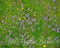 Kate Vert Prairie Fleurs Tapis de sol en Caoutchouc conçue par Mini MakeBelieve - Kate Backdrop FR