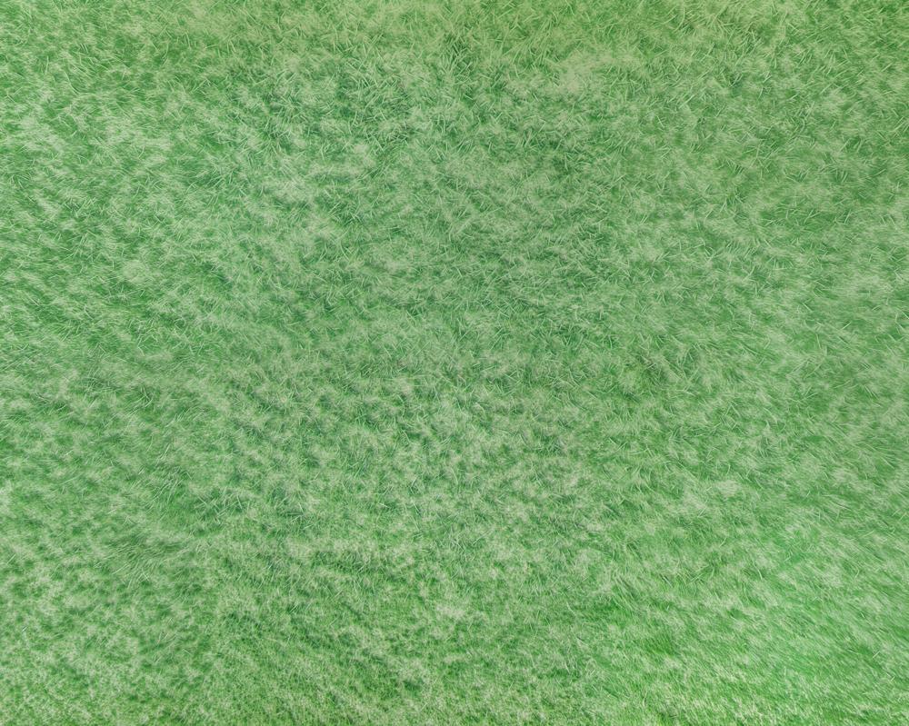 Kate Herbe Vert Prairie Tapis de sol en Caoutchouc pour la photographie