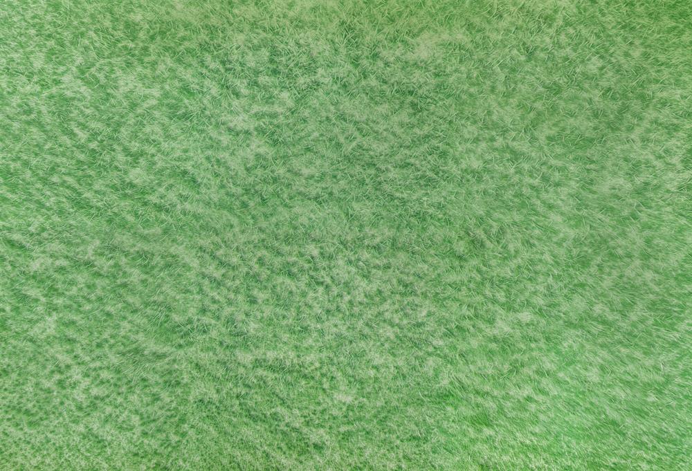 Kate Herbe Vert Prairie Tapis de sol en Caoutchouc pour la photographie