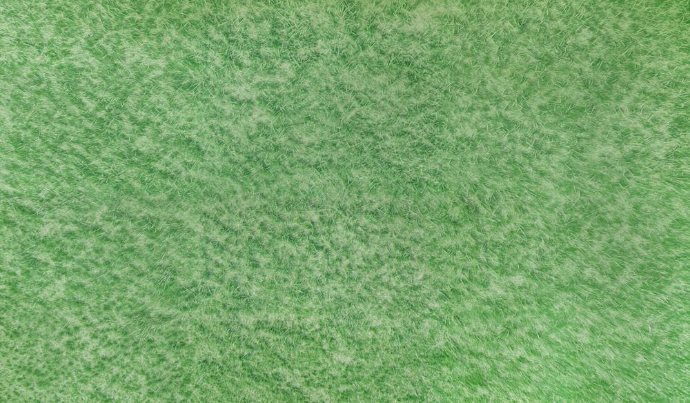 Kate Herbe Vert Prairie Tapis de sol en Caoutchouc pour la photographie