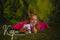 Kate Vert Forêt Fantastique Brumeux Toile de fond pour la photographie - Kate Backdrop FR