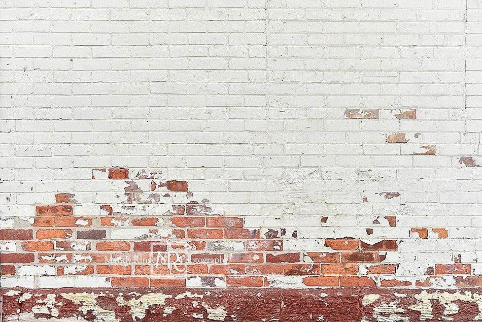 Kate Miteux Mur de briques Blanc & Rouge Toile de fond conçue par Mandy Ringe Photographie