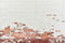 Kate Miteux Mur de briques Blanc & Rouge Toile de fond conçue par Mandy Ringe - Kate Backdrop FR