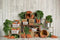 Kate Printemps Pâques Carottes Bois Enfant Toile de fond conçue par Mandy Ringe - Kate Backdrop FR