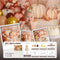 Kate Bohème Citrouilles Anniversaire Kit Photo - Kate Backdrop FR