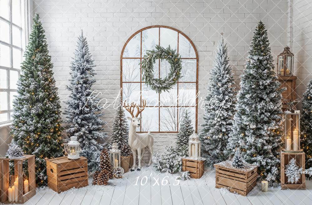 Kate Noël Sapins Fenêtre Lanternes Toile de fond conçue par Emetselch
