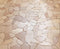 Kate Pierre Beige Sol Toile de fond en Laine conçue par Emetselch