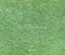 Kate Herbe Prairie Vert Sol Toile de fond en Laine conçue par Emetselch