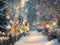 Kate Hiver Chemin Lumières Toile de fond en Laine conçue par Emetselch