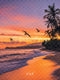 Kate Plage Coucher De Soleil Palmiers Toile de fond conçue par Emetselch - Kate Backdrop FR