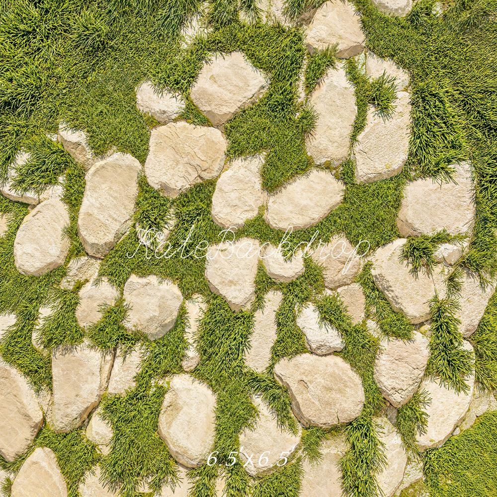 Kate Pierre Herbe Texture Nature Sol Toile de fond conçue par Kate Image