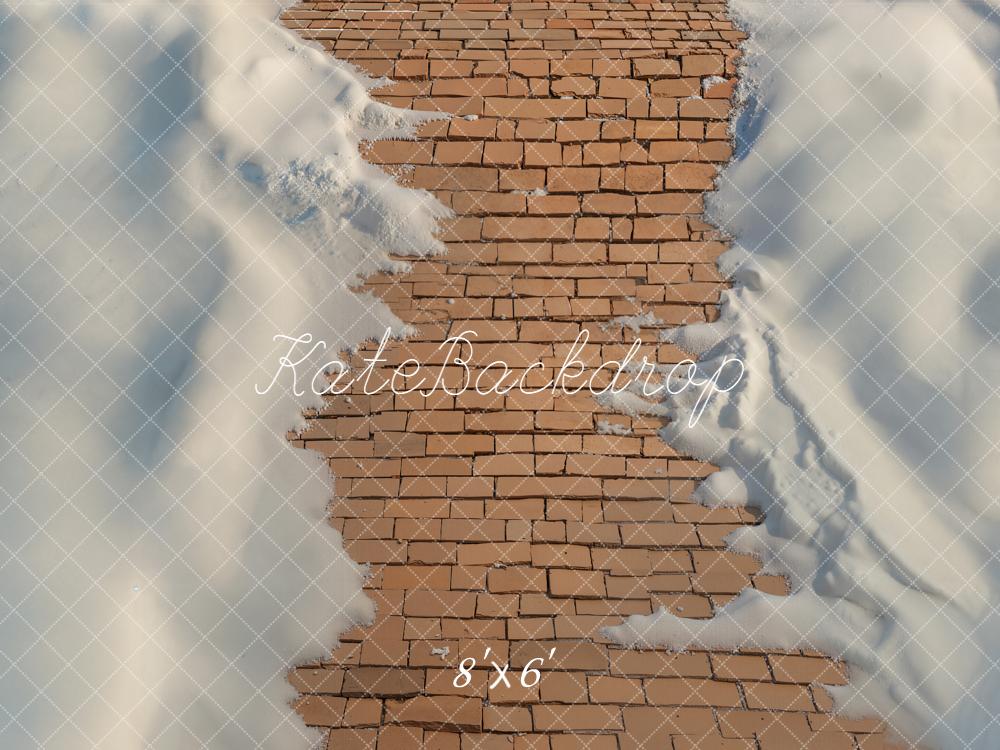 Kate Hiver Chemin Briques Neige Sol Toile de fond conçue par Emetselch - Kate Backdrop FR