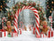 Kate Noël Arc Bonbons Pain d'Épice Neige Toile de fond conçue par Emetselch - Kate Backdrop FR