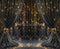 Kate Rideaux Noirs Lumières Dorées Toile de fond en Laine conçue par Emetselch - Kate Backdrop FR