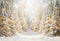 Kate Hiver Sapins Enneigés Lumières Toile de fond conçue par Emetselch - Kate Backdrop FR