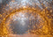 Kate Arc Branches Lumières Dorées Toile de fond conçue par Mini MakeBelieve - Kate Backdrop FR