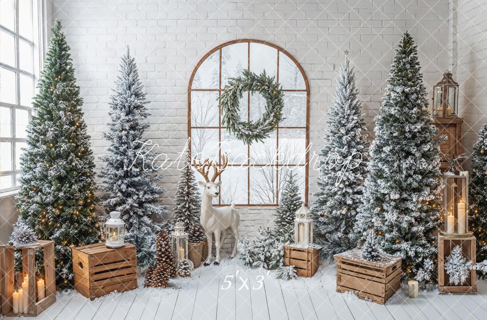 Kate Noël Sapins Fenêtre Lanternes Toile de fond conçue par Emetselch