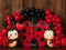 Kate Coccinelle Ballons Bois Anniversaire Toile de fond conçue par Patty Roberts - Kate Backdrop FR