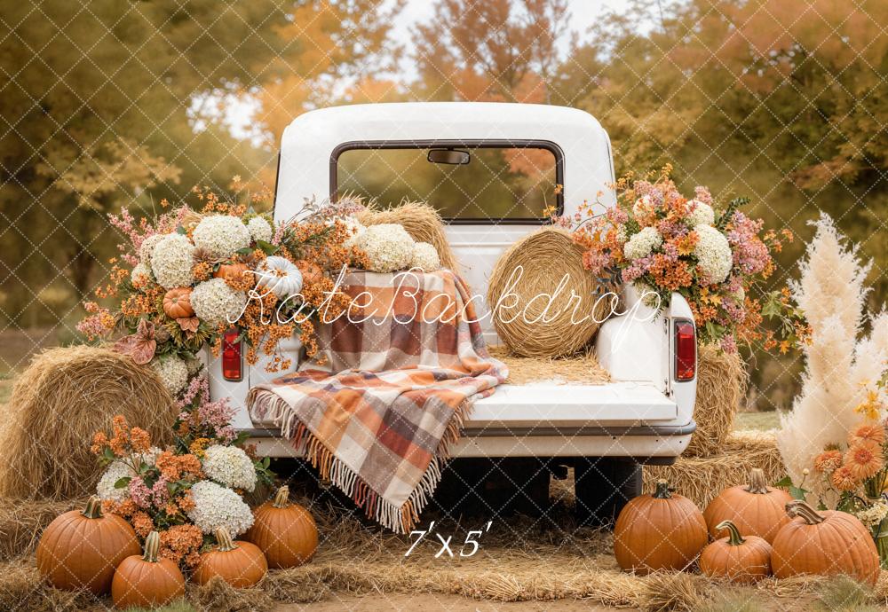 Kate Automne Camion Foins Citrouilles Toile de fond conçue par Emetselch - Kate Backdrop FR
