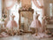 Kate Rose Robes Fleurs Miroir Toile de fond conçue par Ashley Paul - Kate Backdrop FR