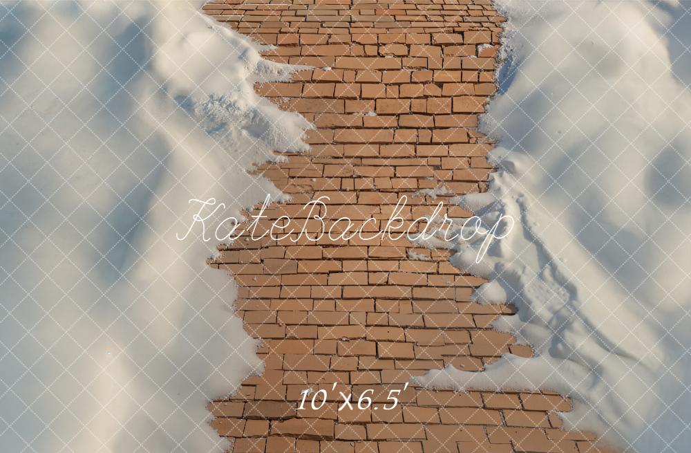 Kate Hiver Chemin Briques Neige Sol Toile de fond conçue par Emetselch - Kate Backdrop FR