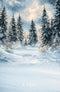 Kate Hiver Forêt Neige Arbres Toile de fond conçue par Emetselch
