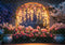 Kate Arche Fleurs Lumières Romantique Toile de fond conçue par Mini MakeBelieve - Kate Backdrop FR