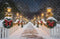 Kate Noël Chemin Lampadaire Neige Toile de fond en Laine conçue par Emetselch - Kate Backdrop FR