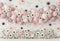 Kate Ballons Roses Fleurs Anniversaire Toile de fond conçue par Ashley Paul - Kate Backdrop FR
