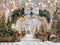 Kate Noël Arche Sapin Lumière Toile de fond en Laine conçue par Emetselch - Kate Backdrop FR