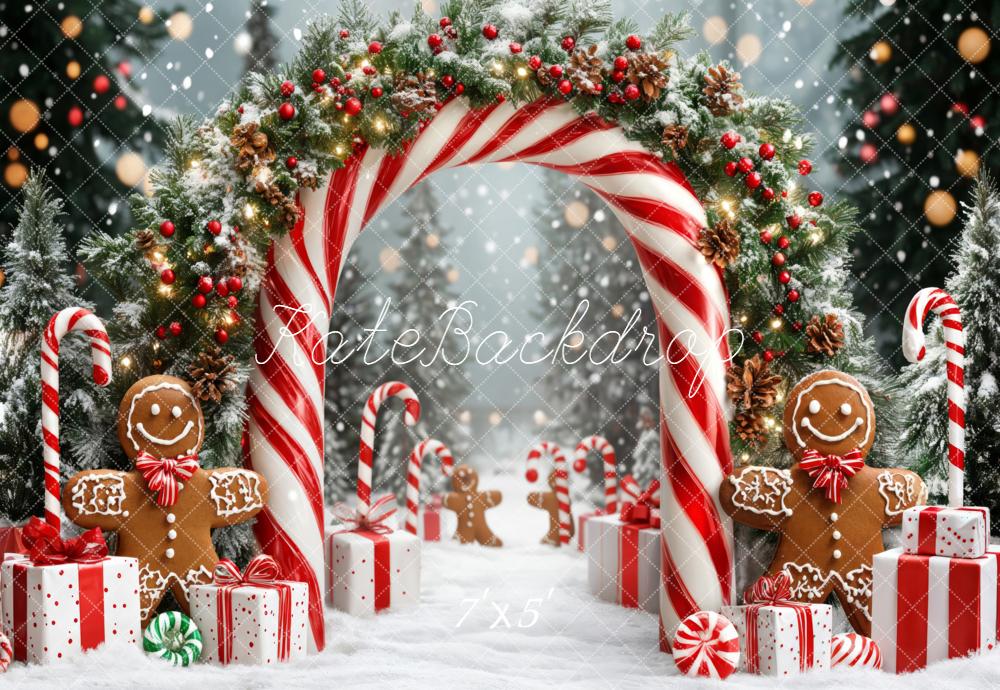 Kate Noël Arc Bonbons Pain d'Épice Neige Toile de fond conçue par Emetselch - Kate Backdrop FR
