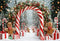 Kate Noël Arc Bonbons Pain d'Épice Neige Toile de fond conçue par Emetselch - Kate Backdrop FR
