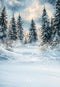 Kate Hiver Forêt Neige Arbres Toile de fond conçue par Emetselch