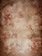 Kate Fleurs Roses Beige Vintage Toile de fond conçue par Emetselch - Kate Backdrop FR
