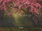 Kate Printemps Arbre Fleurs Roses Toile de fond conçue par Emetselch - Kate Backdrop FR