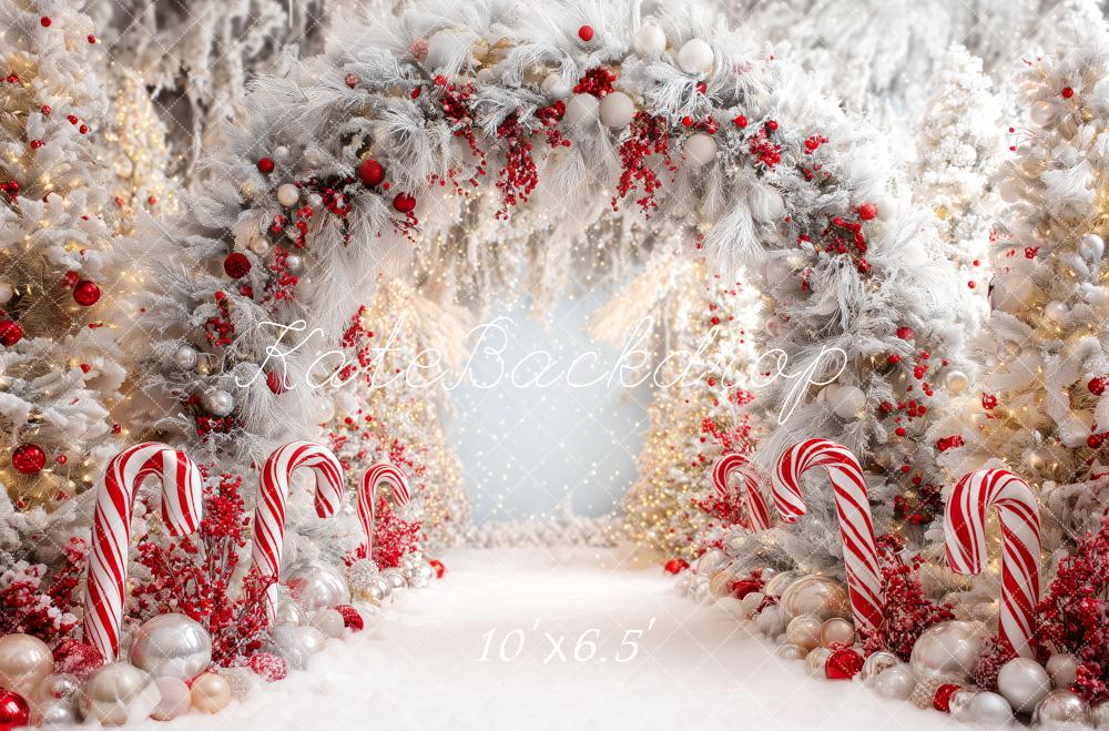 Kate Noël Arche Sucre Ornements Toile de fond conçue par Patty Roberts - Kate Backdrop FR
