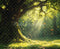 Kate Forêt Arbre Lumière Papillons Toile de fond en Laine conçue par Emetselch - Kate Backdrop FR