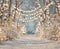 Kate Hiver Forêt Lumière Toile de fond en Laine conçue par Emetselch - Kate Backdrop FR