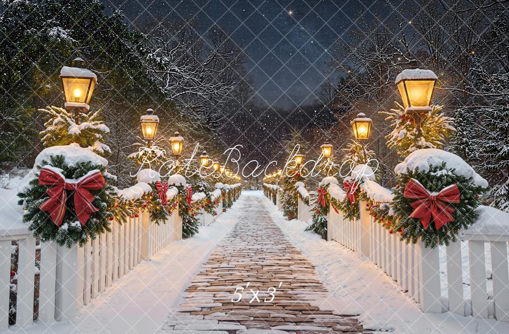 Kate Noël Hiver Chemin Lampadaire Neige Toile de fond conçue par Emetselch - Kate Backdrop FR