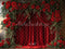 Kate Saint Valentin Rouge Rideau Roses Toile de fond conçue par Emetselch