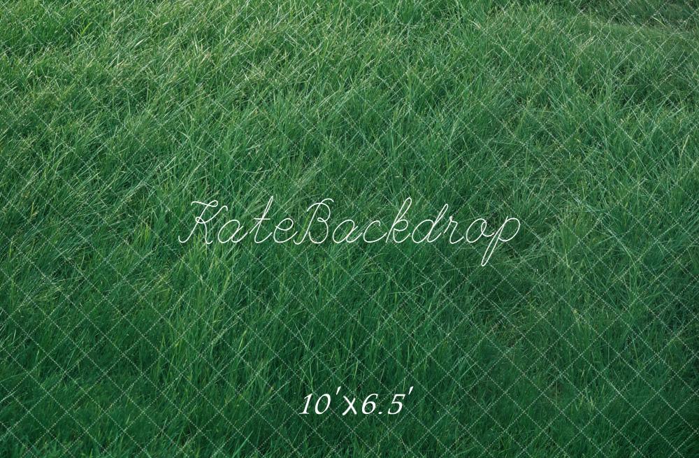 Kate Herbe Prairie Vert Sol Toile de fond conçue par Kate Image - Kate Backdrop FR