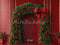 Kate Noël Arche Boules Décors Rouge Toile de fond conçue par Mini MakeBelieve