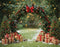 Kate Noël Arche Sapins Cadeaux Toile de fond en Laine conçue par Emetselch - Kate Backdrop FR