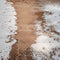 Kate Hiver Neige Terre Sol Toile de fond conçue par kate image - Kate Backdrop FR