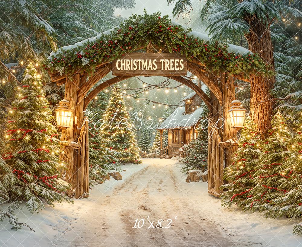 Kate Noël Arche Sapins Lumières Toile de fond conçue par Emetselch